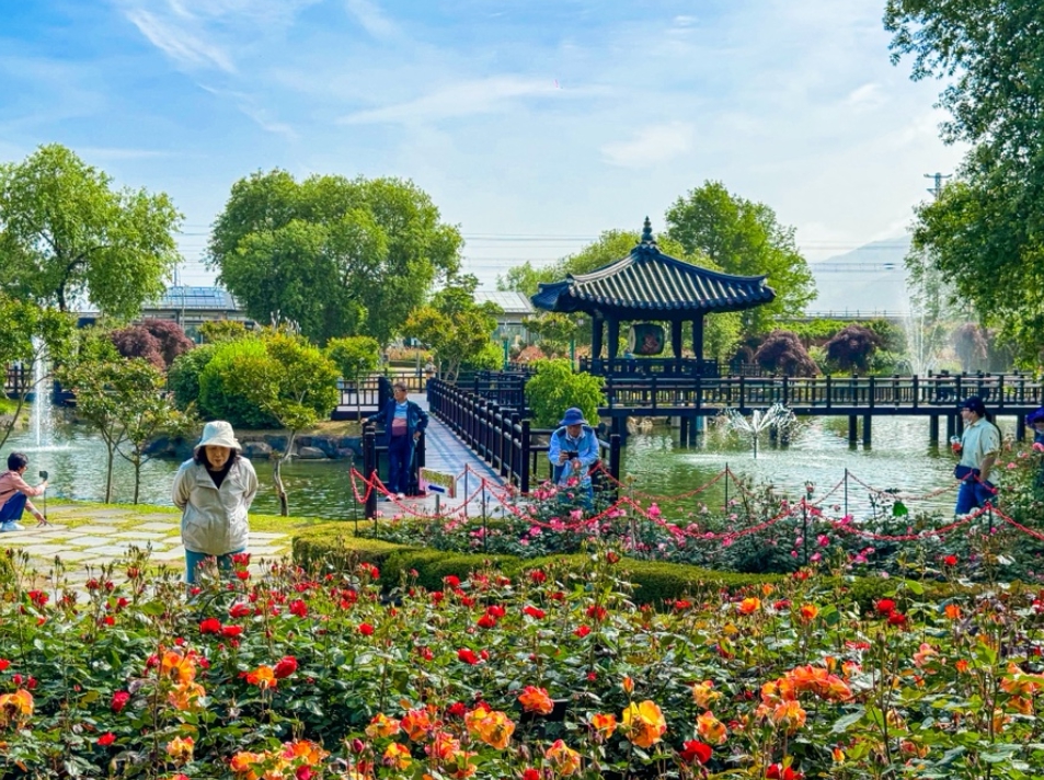 Gokseong World Rose Festival 2