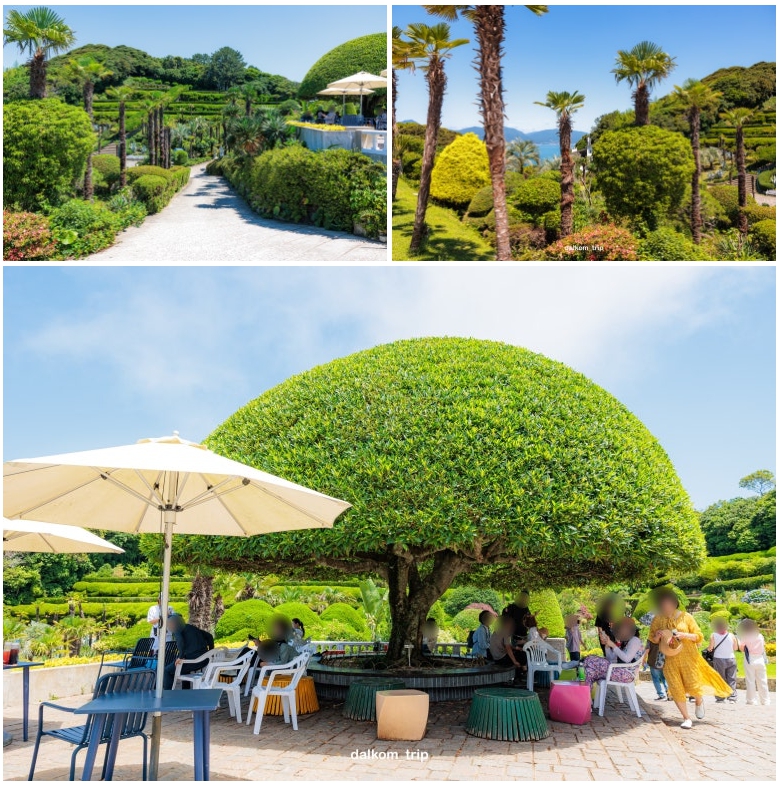 Venus Garden